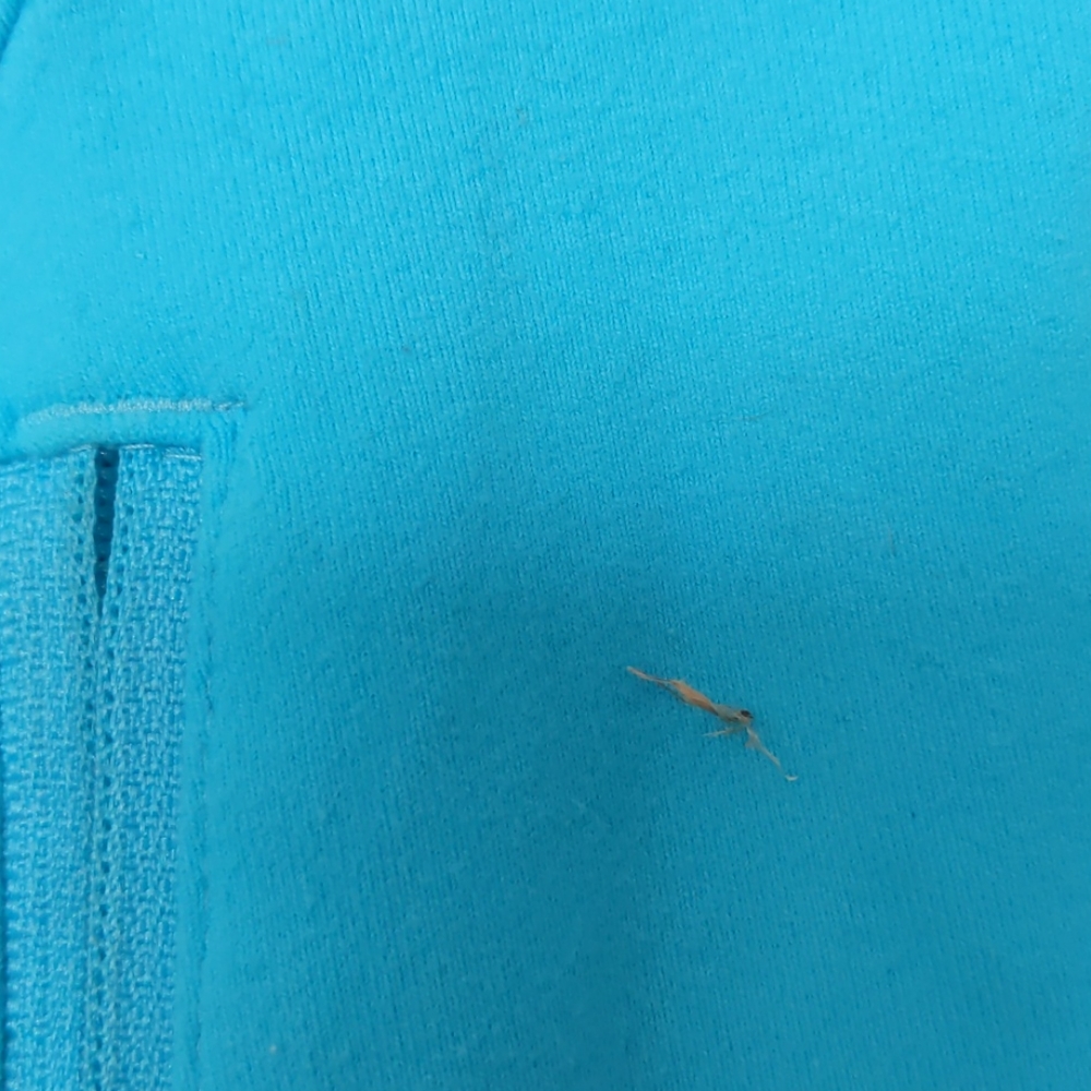 Lululemon zip up - Picture 3 of 4